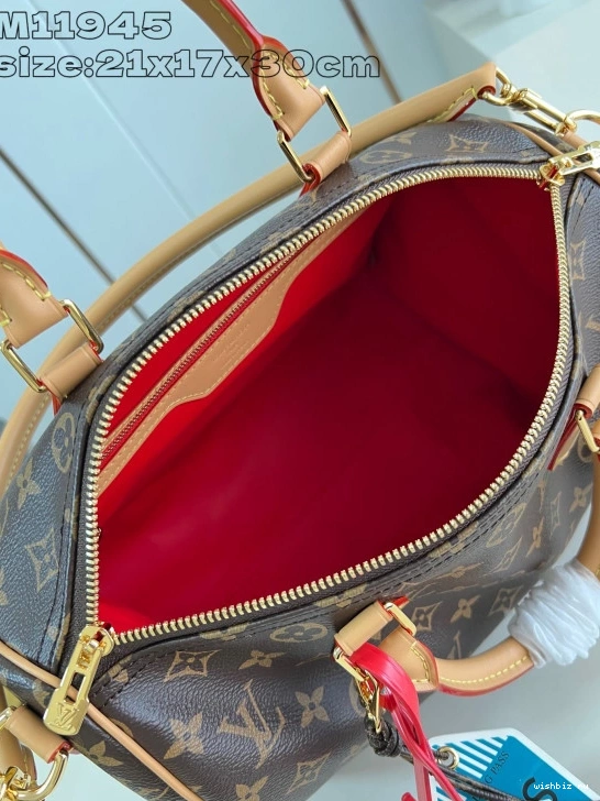 WIS Crafty Speedy Soft Vuitton 30 Louis 0317